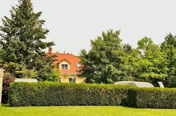 Haus kaufen in 9437 Hegyko (Bild 2)