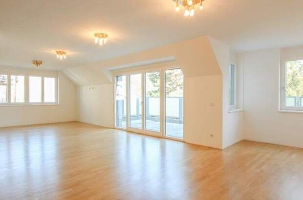 Terrassenwohnung mieten in 1190 Wien (Bild 3)