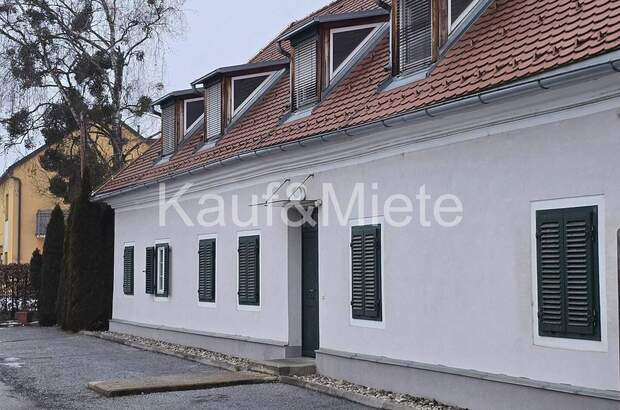 Terrassenwohnung mieten in 8161 Sinabelkirchen (Bild 1)