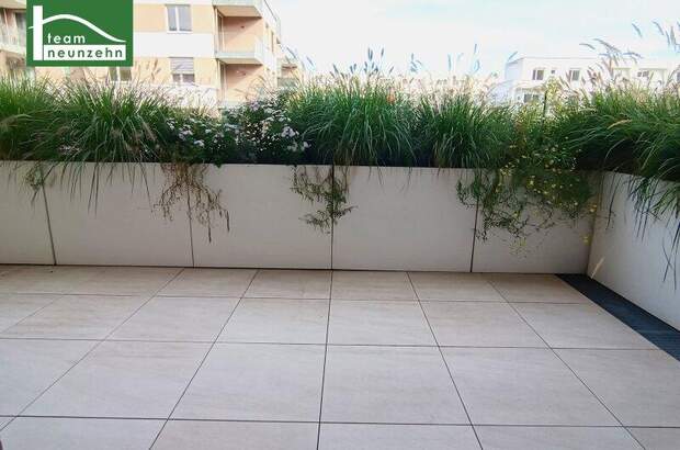 Terrassenwohnung mieten in 3100 St. Pölten (Bild 5)