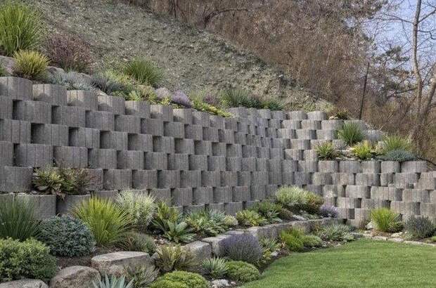 Terrassenwohnung mieten in 1190 Wien (Bild 2)