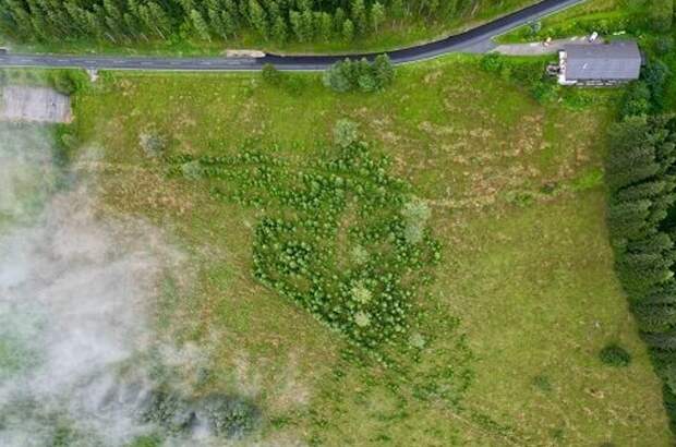 Grundstück kaufen in 9431 Kleinedling (Bild 1)