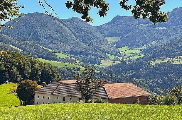 Haus kaufen in 4593 Grünburg