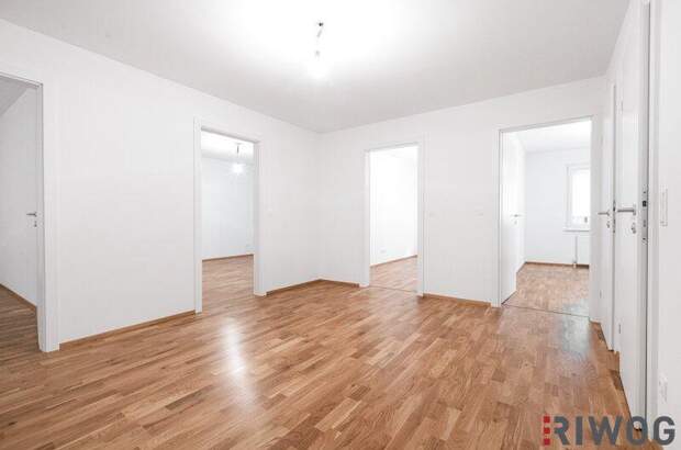 Terrassenwohnung kaufen in 1050 Wien (Bild 5)