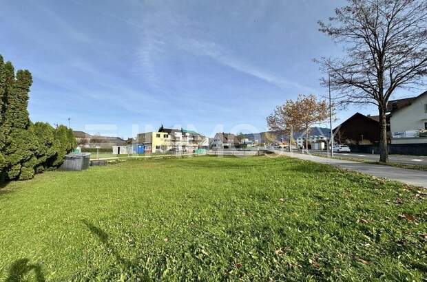 Grundstück kaufen in 6971 Hard (Bild 4)