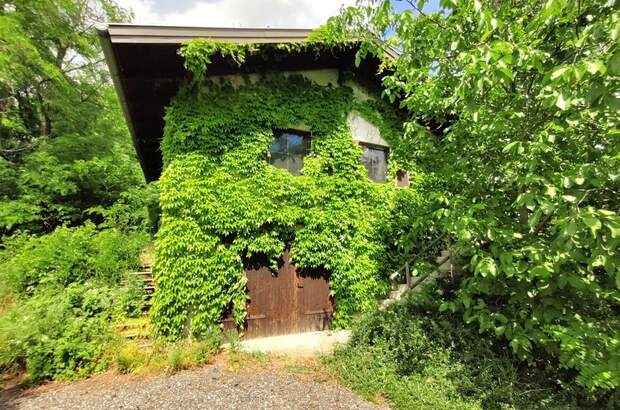 Immobilie kaufen in 7311 Neckenmarkt (Bild 2)