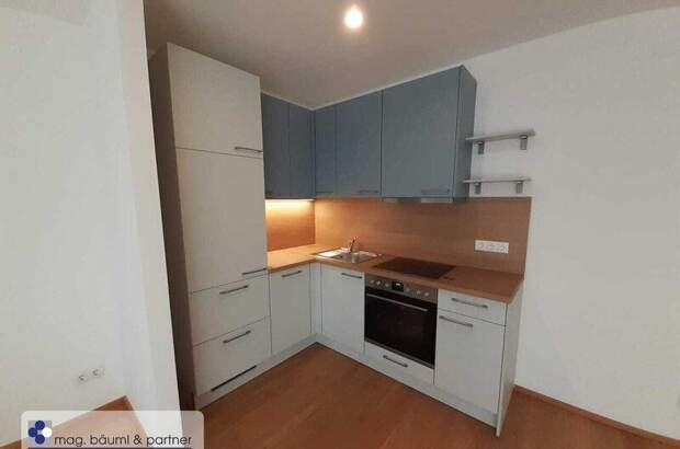 Terrassenwohnung mieten in 1230 Wien (Bild 4)