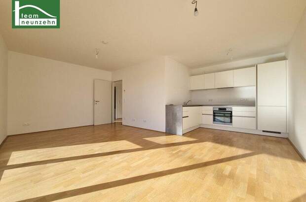 Terrassenwohnung mieten in 1210 Wien (Bild 2)