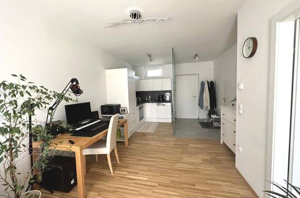 Anlageobjekt kaufen in 8055 Graz