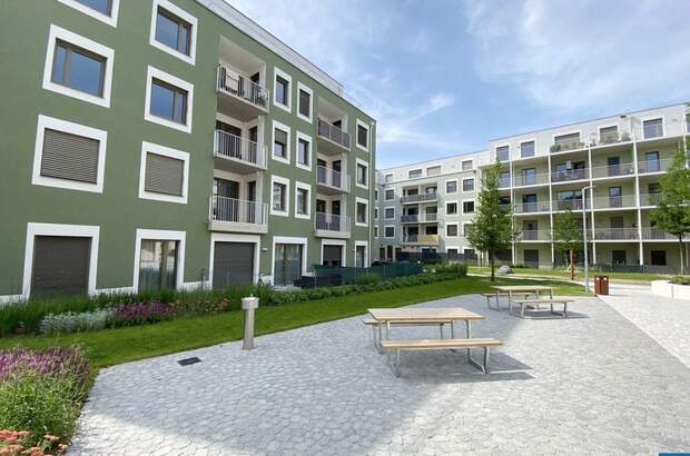 Wohnung mit Balkon mieten in 3451 Pixendorf (Bild 1)