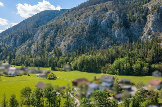 Grundstück kaufen in 4645 Grünau (Bild 5)