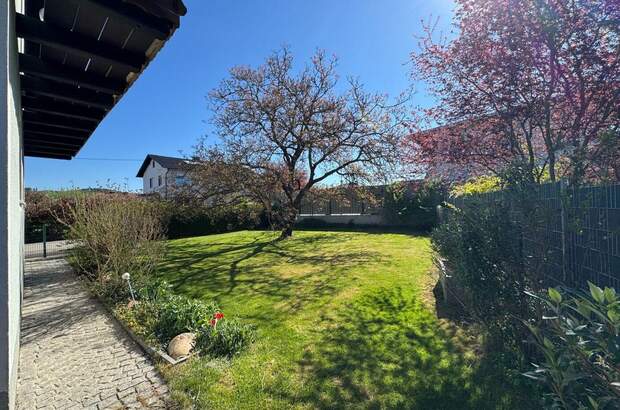 Haus kaufen in 4230 Pregarten (Bild 5)