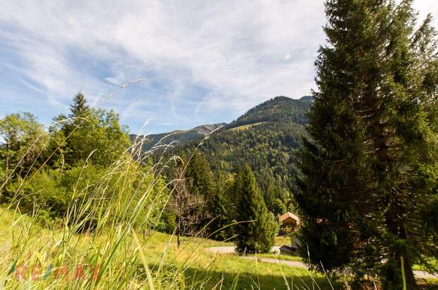 Grundstück kaufen in 6850 Dornbirn (Bild 3)