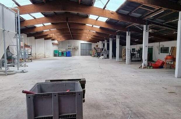 Gewerbeobjekt mieten in 4980 Antiesenhofen (Bild 5)