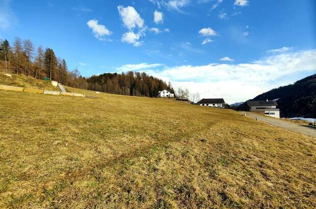 Grundstück kaufen in 8843 St. Peter (Bild 1)