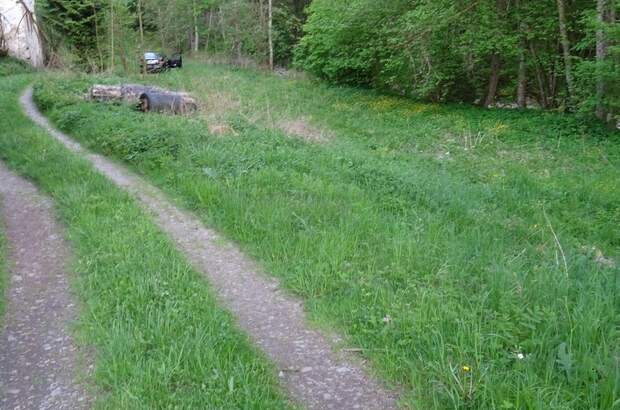 Grundstück kaufen in 4121 Altenfelden (Bild 1)