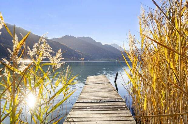 Mehrfamilienhaus kaufen in 9762 Weißensee (Bild 4)