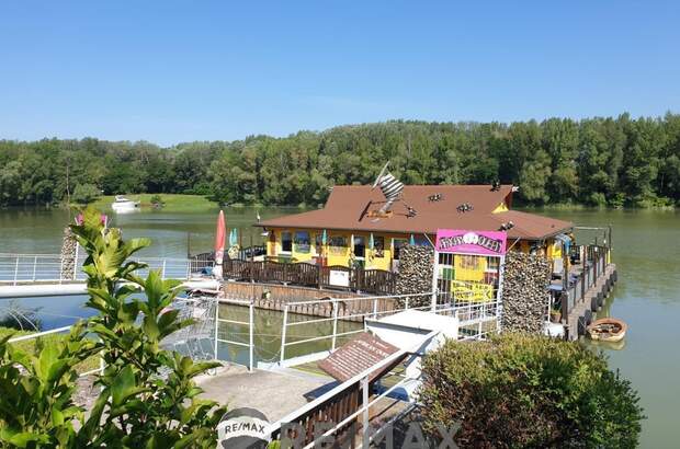 Gastronomie / Restaurant kaufen in 3422 Greifenstein (Bild 1)