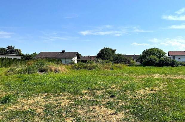 Grundstück kaufen in 8403 Bachsdorf (Bild 1)