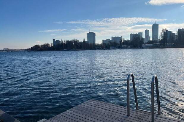 Haus mit Garten mieten in 1220 Wien (Bild 2)