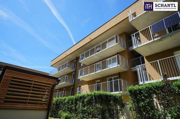 Terrassenwohnung kaufen in 8401 Kalsdorf (Bild 3)