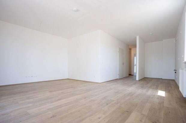 Terrassenwohnung kaufen in 2700 Wr. Neustadt (Bild 5)