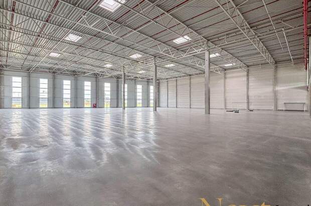 Gewerbeobjekt mieten in 4470 Enns (Bild 4)