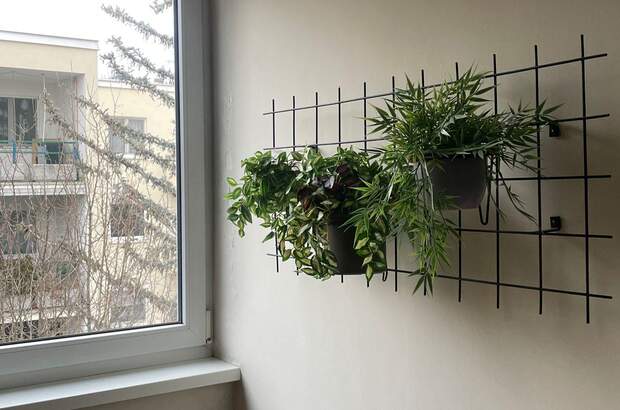 Wohnung mieten in 1100 Wien (Bild 4)