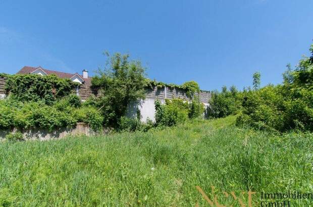 Grundstück kaufen in 4048 Puchenau (Bild 3)