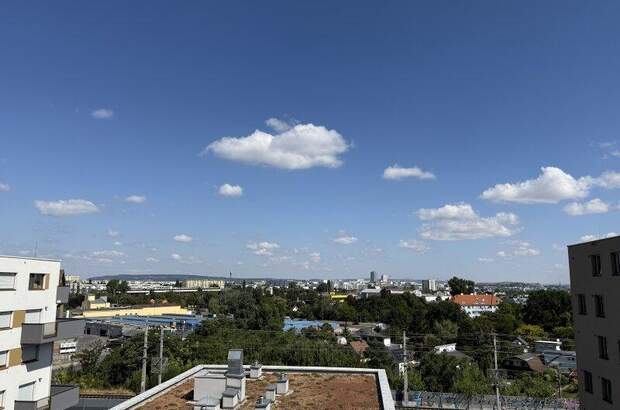 Terrassenwohnung kaufen in 1220 Wien (Bild 1)