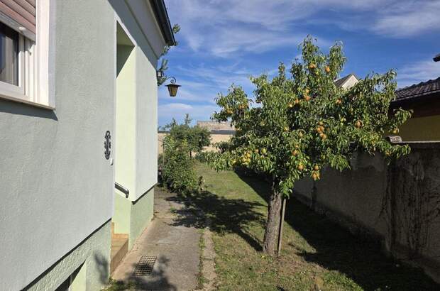 Haus kaufen (Bild 4)