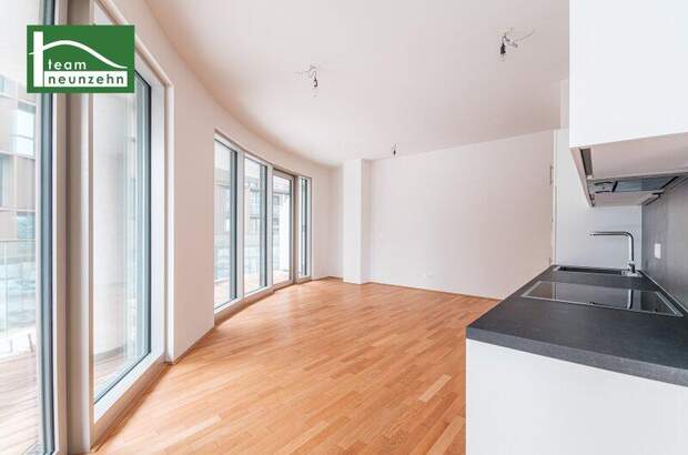 Terrassenwohnung mieten in 1100 Wien (Bild 2)