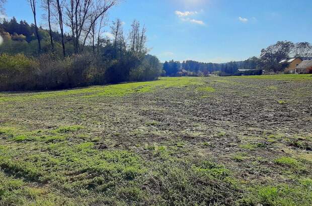 Grundstück kaufen in 8412 Allerheiligen (Bild 2)