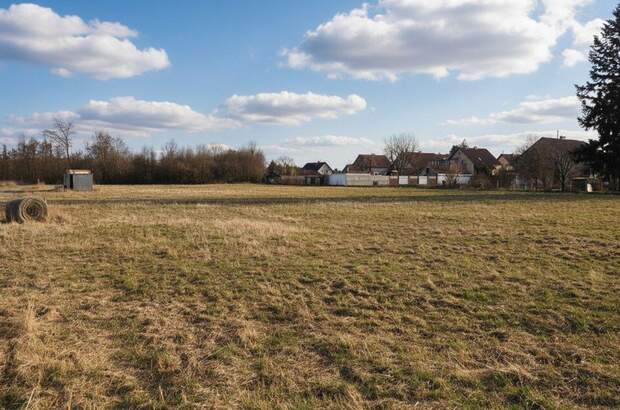 Grundstück kaufen in 4064 Oftering (Bild 1)