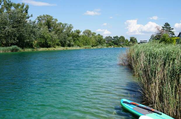 Haus mit Garten kaufen in 1220 Wien (Bild 4)
