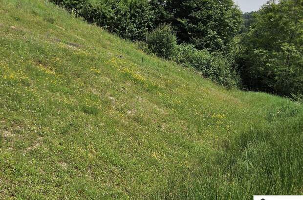 Grundstück kaufen in 8075 Hart (Bild 3)