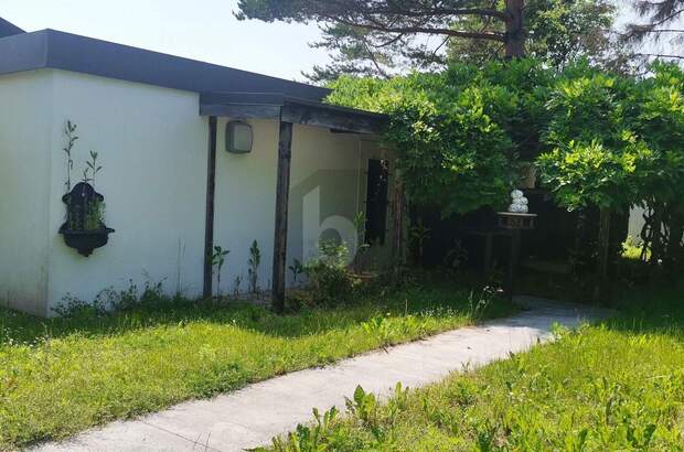 Grundstück kaufen in 2601 Sollenau (Bild 2)