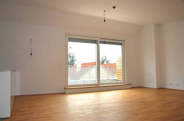 Wohnung mieten in 1220 Wien (Bild 3)