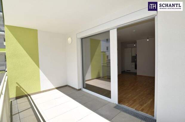 Terrassenwohnung mieten in 2320 Schwechat (Bild 2)