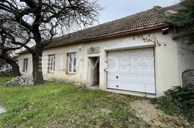 Einfamilienhaus kaufen in 2181 Dobermannsdorf (Bild 5)