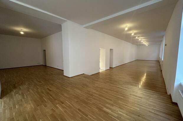 Gewerbeobjekt mieten in 1090 Wien (Bild 2)
