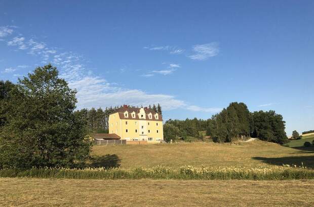 Haus kaufen in 4261 Rainbach (Bild 1)
