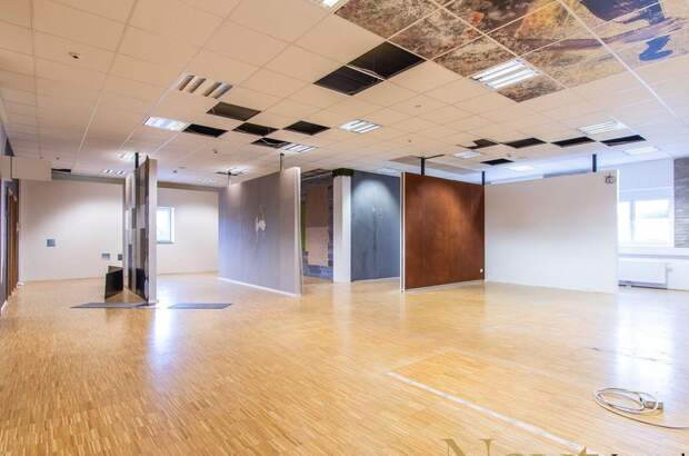 Gewerbeobjekt mieten in 4052 Ansfelden (Bild 3)