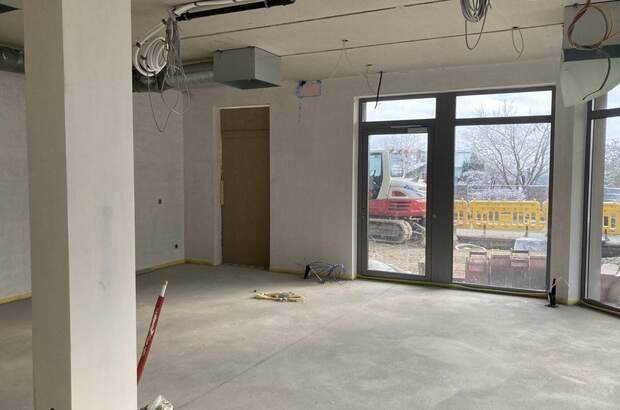 Gewerbeobjekt kaufen in 4492 Hofkirchen (Bild 4)