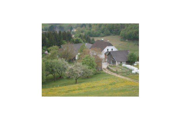 Bauernhaus kaufen in 4391 Waldhausen (Bild 1)