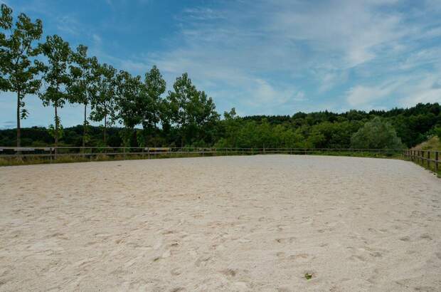 Gewerbeobjekt kaufen in 8332 Edelsbach (Bild 2)