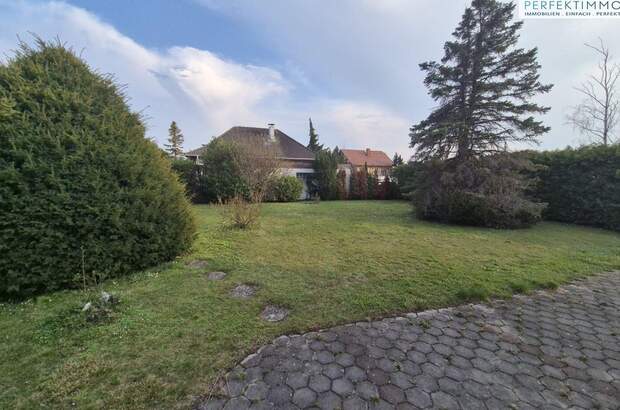 Haus mit Garten kaufen in 2523 Tattendorf (Bild 3)