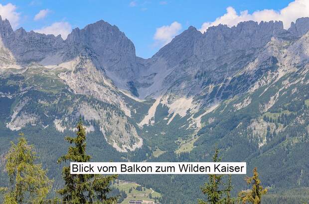 Grundstück kaufen in 6352 Ellmau (Bild 3)