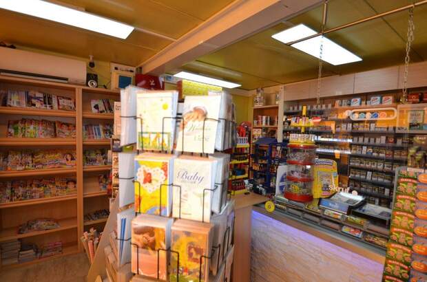 Gewerbeobjekt kaufen in 2560 Berndorf (Bild 2)