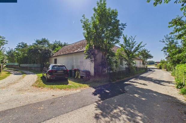 Haus mit Garten kaufen in 3862 Groß (Bild 3)